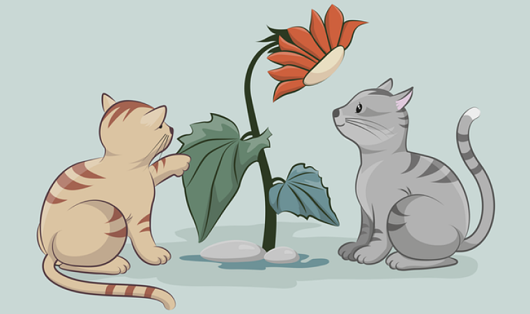 2匹の猫と花