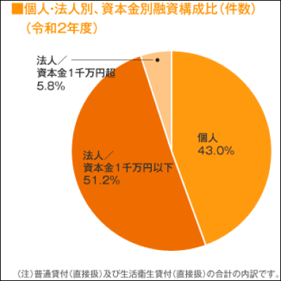 個人・法人別、資本金別融資構成比