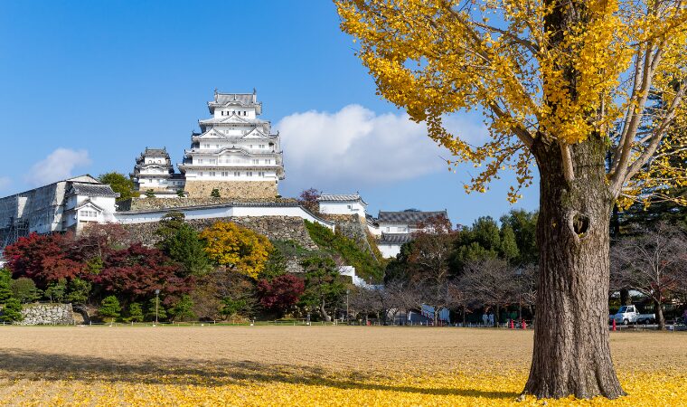 姫路で始めるならこれだ！おすすめ起業アイデア