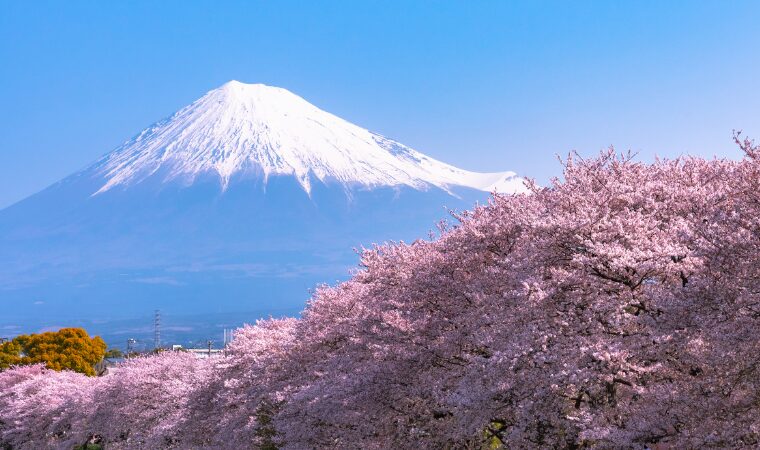 しずぎんビジネスステーション